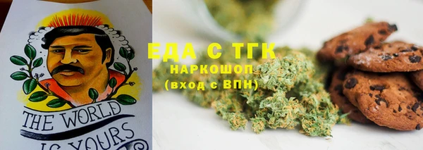 крисы Бородино