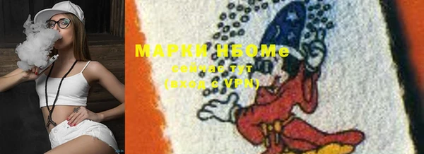 крисы Бородино