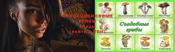 крисы Бородино