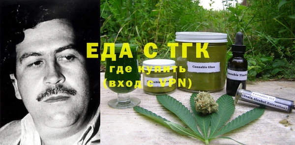 крисы Бородино