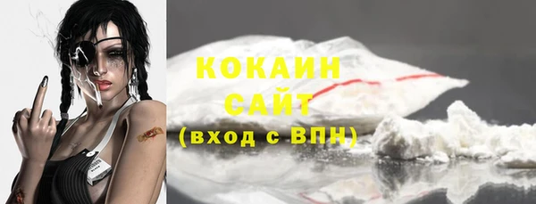 крисы Бородино