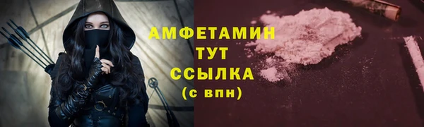 крисы Бородино