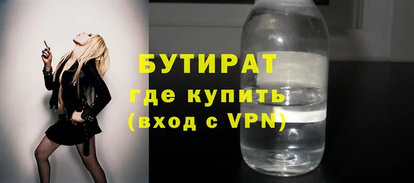 крисы Бородино