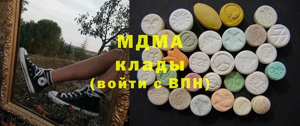 крисы Бородино