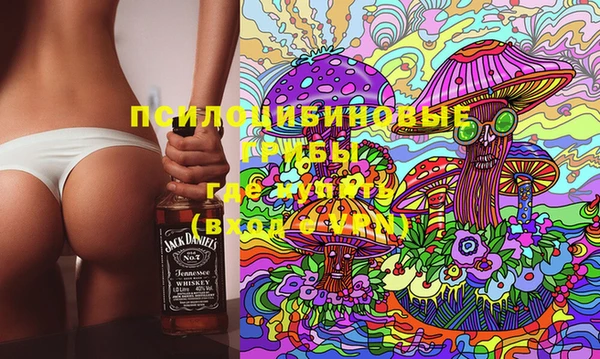 крисы Бородино
