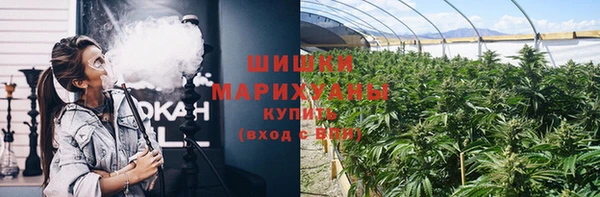 винт Бронницы