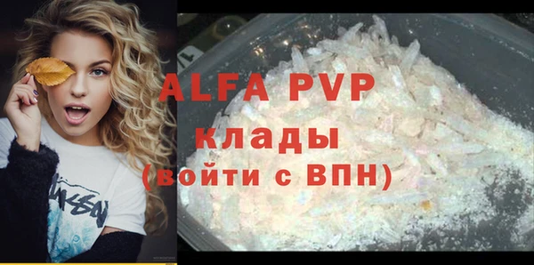 крисы Бородино