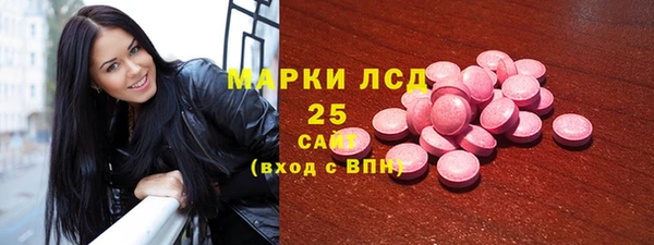 крисы Бородино