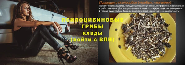 крисы Бородино