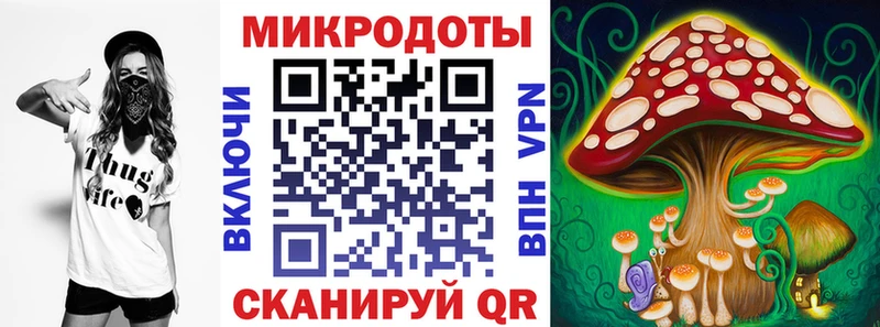 Галлюциногенные грибы Psilocybe  сайты даркнета наркотические препараты  Кировск 